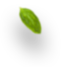 shpare_802e62d
